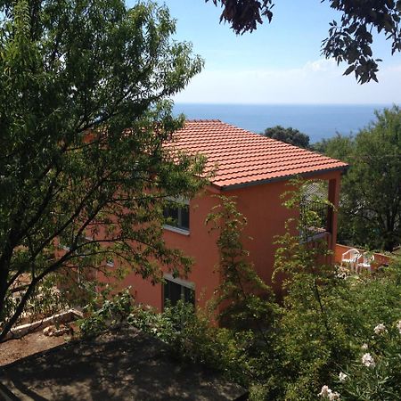 אוטייהא Holiday Home Orange מראה חיצוני תמונה